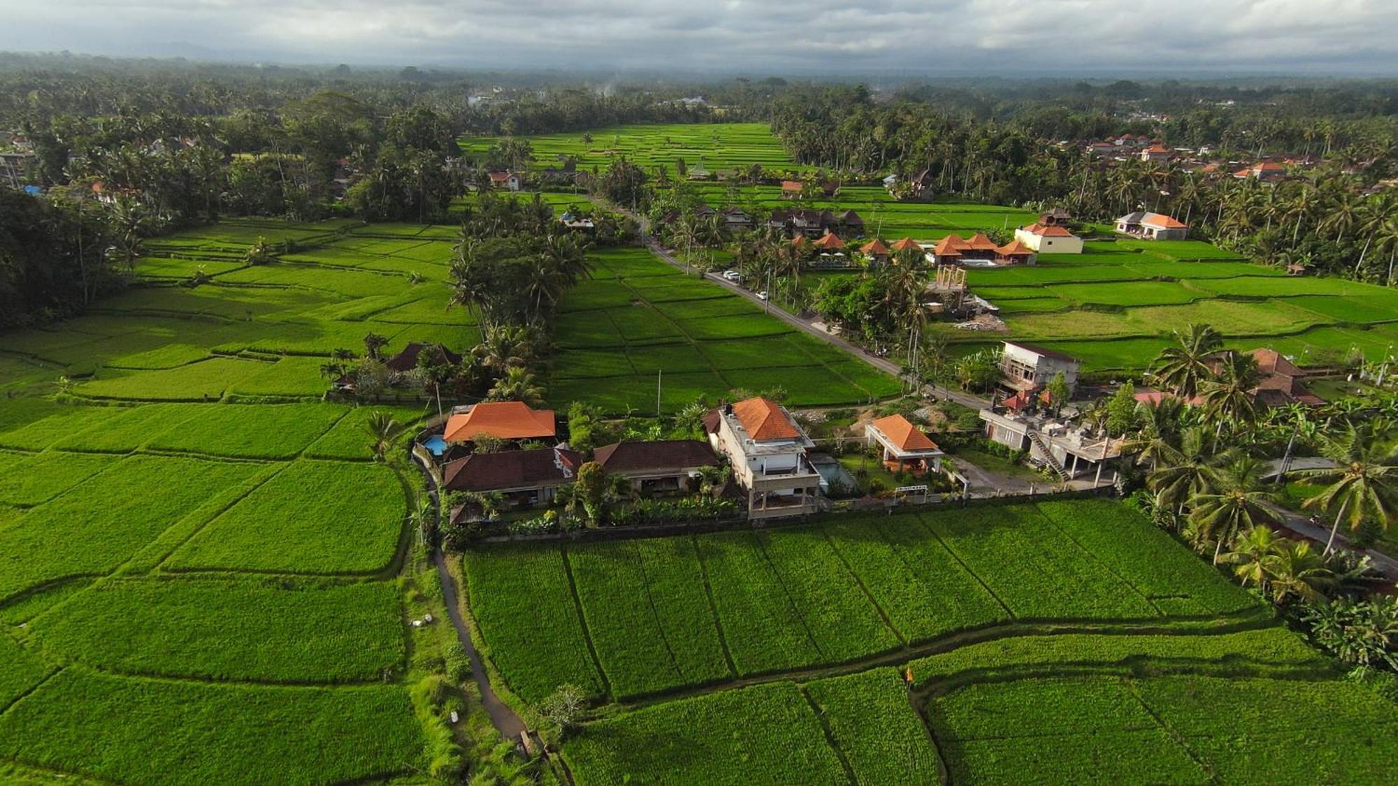 Villa Popolan And Guest House Ubud Esterno foto